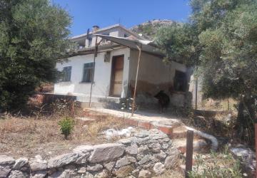 Marmaris Satılık, Kiralık